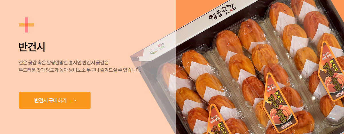 반건시